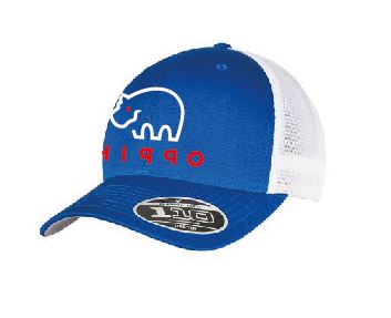 Y152 Hi99o Flexfit 110 Mesh 2 Tone Cap